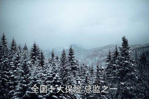 全國(guó)十大保險(xiǎn) 總監(jiān)之一