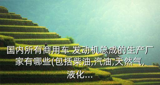 中國(guó)發(fā)動(dòng)機(jī)制造商,俄羅斯發(fā)動(dòng)機(jī)制造商