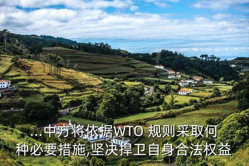 ...中方將依據(jù)WTO 規(guī)則采取何種必要措施,堅(jiān)決捍衛(wèi)自身合法權(quán)益