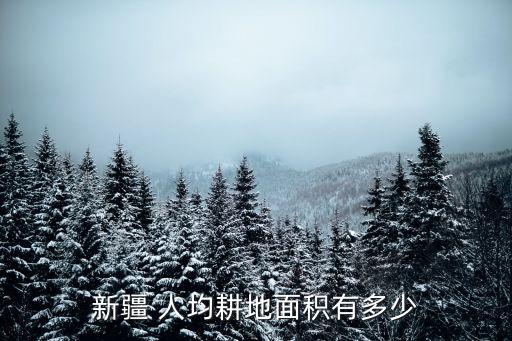 中國(guó)人均占地