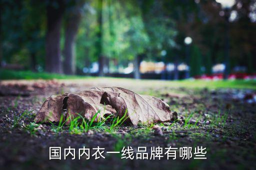 國(guó)內(nèi)內(nèi)衣一線(xiàn)品牌有哪些