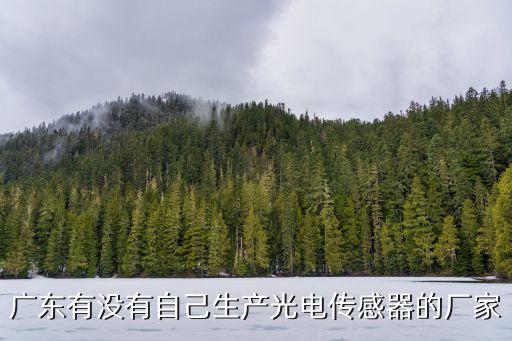 廣東有沒(méi)有自己生產(chǎn)光電傳感器的廠(chǎng)家