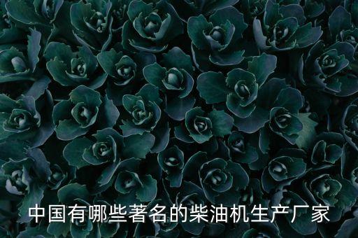 中國有哪些著名的柴油機(jī)生產(chǎn)廠家