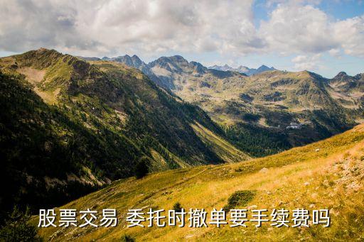 撤銷(xiāo)股票委托買(mǎi)入,股票買(mǎi)入沒(méi)有成功又撤銷(xiāo)不掉