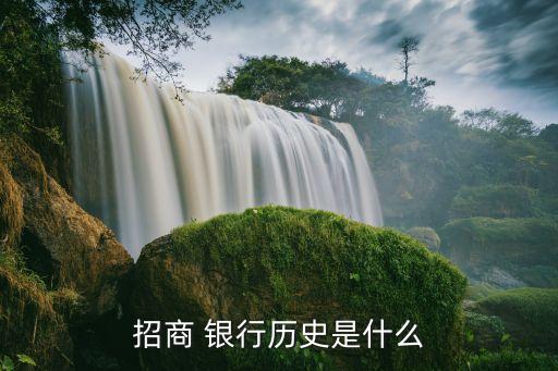 招行連續(xù)5年中國最佳零售銀行