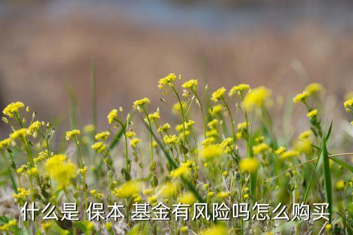 什么是 保本 基金有風(fēng)險(xiǎn)嗎怎么購(gòu)買(mǎi)