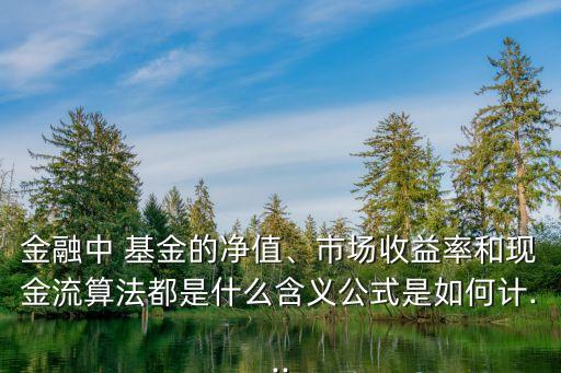 金融中 基金的凈值、市場收益率和現(xiàn)金流算法都是什么含義公式是如何計...
