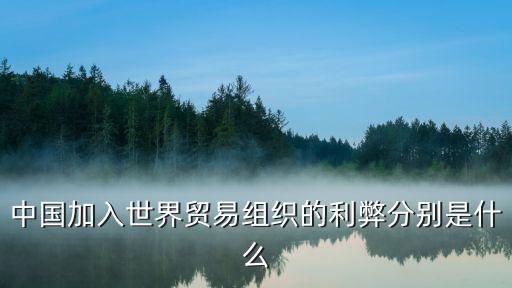 中國(guó)不遵守wto規(guī)則,中國(guó)沒有遵守wto汽車