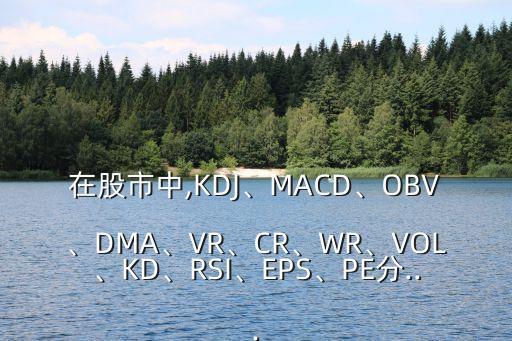在股市中,KDJ、MACD、OBV、DMA、VR、CR、WR、VOL、KD、RSI、EPS、PE分...