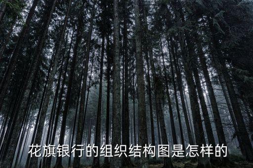  花旗銀行的組織結(jié)構(gòu)圖是怎樣的