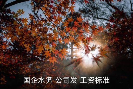 國企水務(wù) 公司發(fā) 工資標(biāo)準(zhǔn)