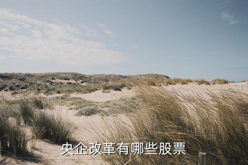 中國(guó)海誠(chéng)集團(tuán)有限公司