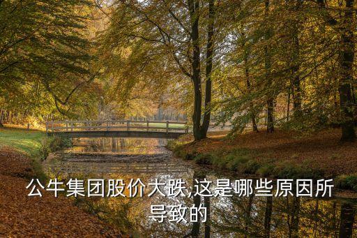  公牛集團股價大跌,這是哪些原因所導(dǎo)致的