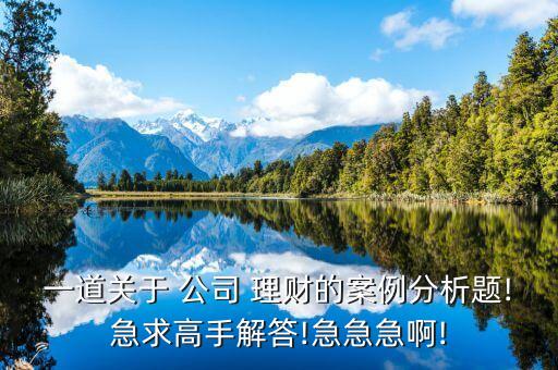 一道關(guān)于 公司 理財?shù)陌咐治鲱}!急求高手解答!急急急啊!