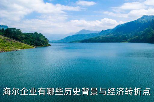海爾集團(tuán)2013年報