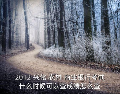 2012 興化 農(nóng)村 商業(yè)銀行考試什么時(shí)候可以查成績?cè)趺床? class=