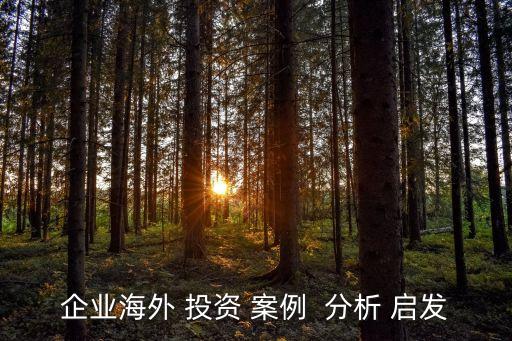 成功的項目投資案案例分析