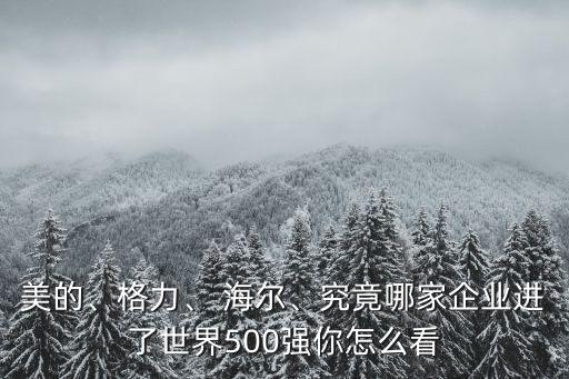 美的、格力、 海爾、究竟哪家企業(yè)進了世界500強你怎么看