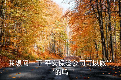 我想問一下 平安保險(xiǎn)公司可以做***的嗎