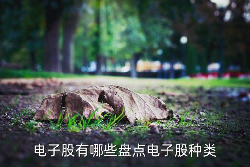 電子股有哪些盤(pán)點(diǎn)電子股種類