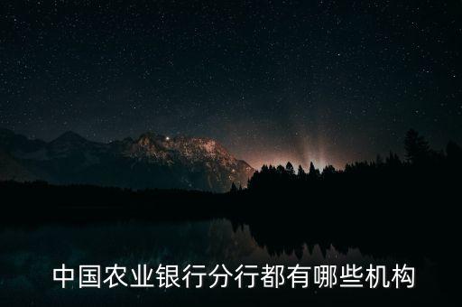  中國農業(yè)銀行分行都有哪些機構