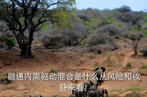  融通內(nèi)需驅(qū)動混合是什么從風險和收益來看!