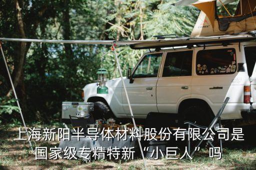  上海新陽(yáng)半導(dǎo)體材料股份有限公司是國(guó)家級(jí)專精特新“小巨人”嗎