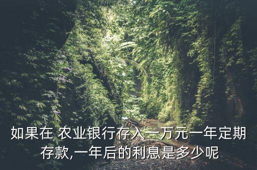 如果在 農(nóng)業(yè)銀行存入一萬元一年定期 存款,一年后的利息是多少呢