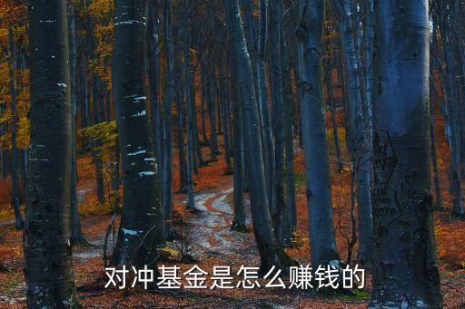  對沖基金是怎么賺錢的