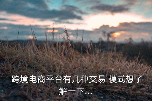 上?？缇畴娮由虅?wù)模式,跨境電子商務(wù)物流的主要模式有