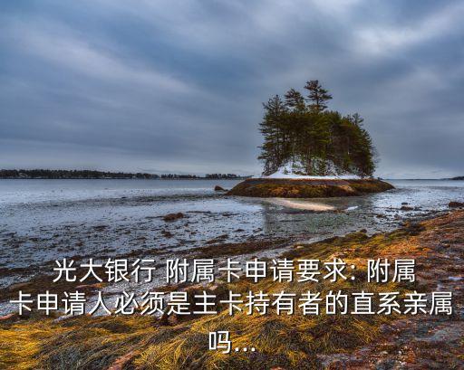  光大銀行 附屬卡申請(qǐng)要求: 附屬卡申請(qǐng)人必須是主卡持有者的直系親屬嗎...