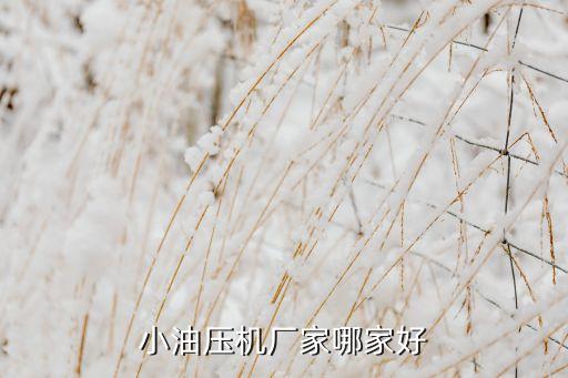 小油壓機廠家哪家好