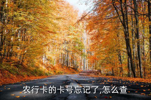 農(nóng)行卡的卡號(hào)忘記了,怎么查