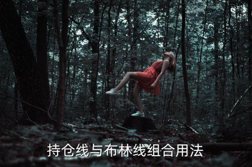 持倉(cāng)線與布林線組合用法