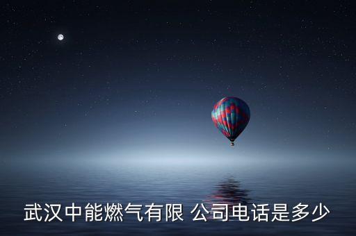 武漢中能燃?xì)庥邢?公司電話是多少