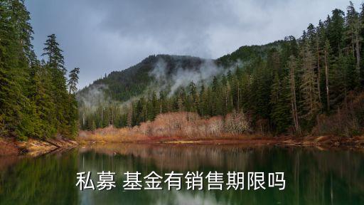 黑石基金,美國(guó)黑石基金
