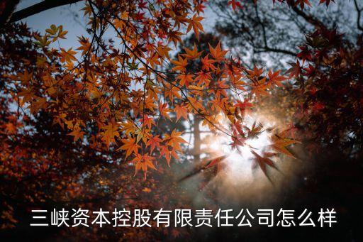 三峽集團(tuán)審計(jì)報(bào)告,旺旺集團(tuán)審計(jì)報(bào)告