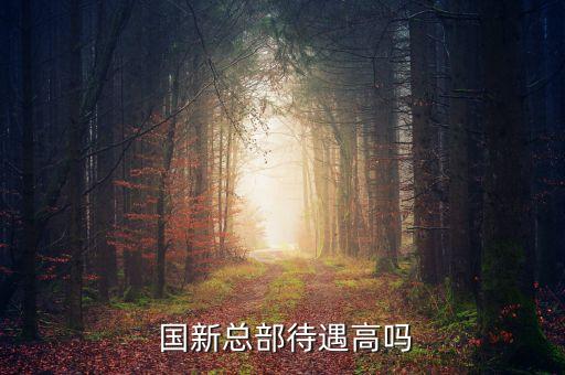 中國(guó)國(guó)新集團(tuán)
