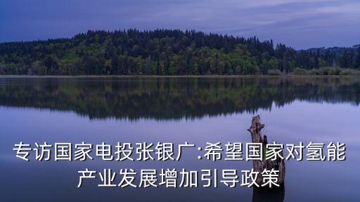 專訪國家電投張銀廣:希望國家對氫能產(chǎn)業(yè)發(fā)展增加引導(dǎo)政策
