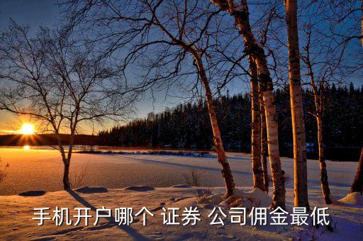 手機開戶哪個 證券 公司傭金最低