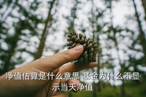 161227基金實時行情