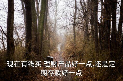現(xiàn)在有錢買 理財產(chǎn)品好一點,還是定期存款好一點