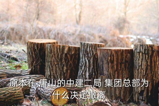 唐山重裝集團(tuán)重組,唐山藍(lán)貓集團(tuán)重組成功了嗎