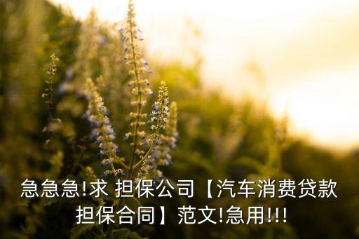 急急急!求 擔(dān)保公司【汽車(chē)消費(fèi)貸款 擔(dān)保合同】范文!急用!!!