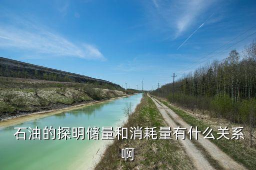  石油的探明儲量和消耗量有什么關系啊