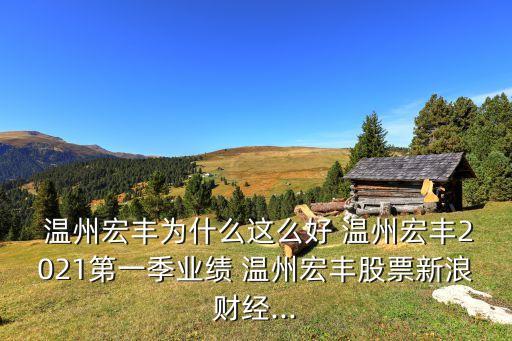  溫州宏豐為什么這么好 溫州宏豐2021第一季業(yè)績 溫州宏豐股票新浪財(cái)經(jīng)...