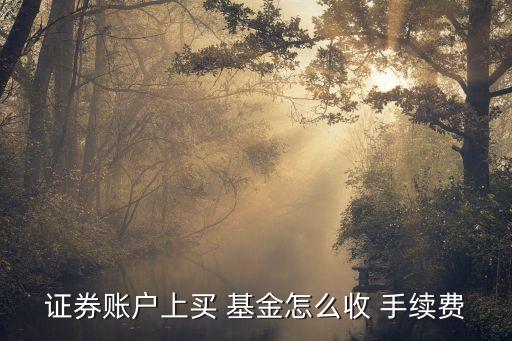 國泰君安購買基金手續(xù)費