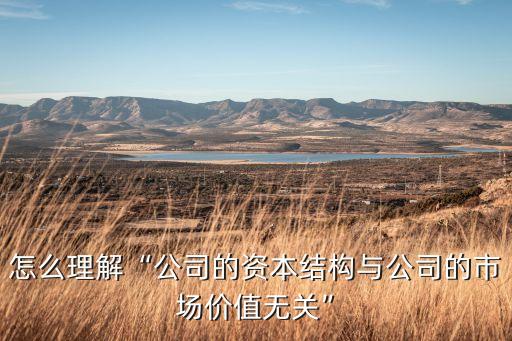怎么理解“公司的資本結構與公司的市場價值無關”