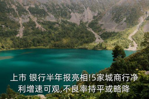 上市 銀行半年報亮相!5家城商行凈利增速可觀,不良率持平或略降