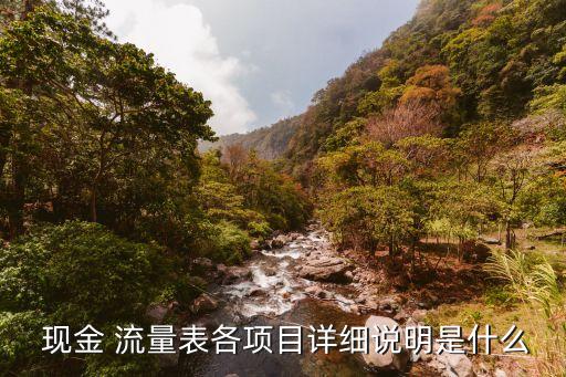  現(xiàn)金 流量表各項(xiàng)目詳細(xì)說明是什么